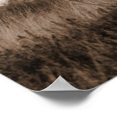 Highland Koe Scotland Rustic Brown monotone Post Poster (Hoek)