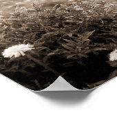 Highland Koe Scotland Rustic Brown monotone Poster (Hoek)