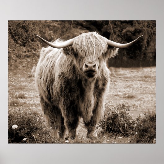 Highland Koe Scotland Rustic Brown monotone Poster (Voorkant)