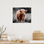 Highland Koe Scotland Rustic Poster Black White (Keuken)