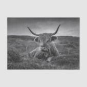 Highland Koe Scotland Rustic Tissue Paper Tissuepapier (Voorkant)