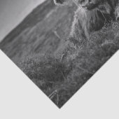 Highland Koe Scotland Rustic Tissue Paper Tissuepapier (Detail)