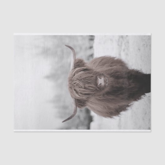 Highland Koe Scotland Rustic Tissue Paper Tissuepapier (Voorkant)