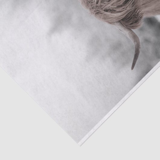 Highland Koe Scotland Rustic Tissue Paper Tissuepapier (Detail)