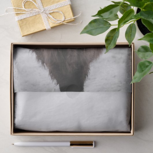 Highland Koe Scotland Rustic Tissue Paper Tissuepapier (Geschenk)