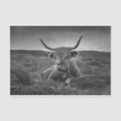 Highland Koe Scotland Rustic Tissue Paper Tissuepapier (Voorkant)