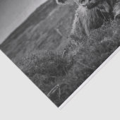 Highland Koe Scotland Rustic Tissue Paper Tissuepapier (Detail)