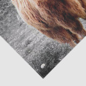 Highland Koe Scotland Rustic Tissuepapier (Detail)