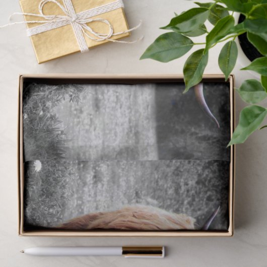 Highland Koe Scotland Rustic Tissuepapier (Geschenk)