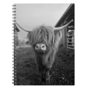 Highland Koe Spiral Notitieboek