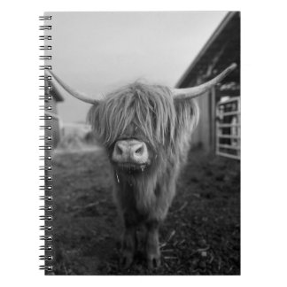 Highland Koe Spiral Notitieboek