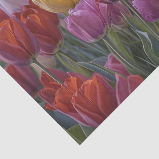 Highland Koe Spring Tulips Decoupage Tissuepapier (Detail)