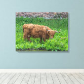 Highland koe uitzicht canvas print (Insitu (Houten vloer))