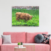 Highland koe uitzicht canvas print (Insitu (Woonkamer))