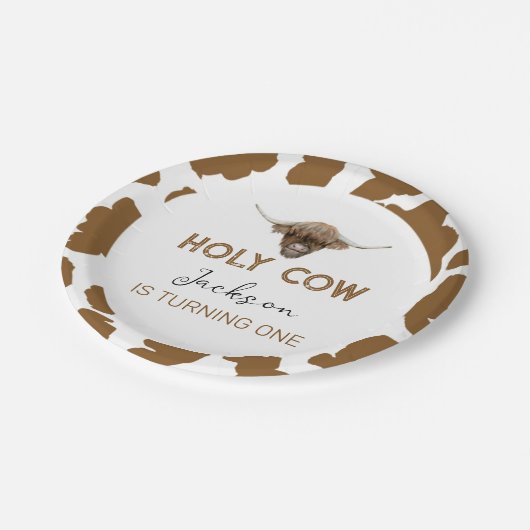 Highland Koe Verjaardag Baby shower Papieren Bordje (Gekanteld)