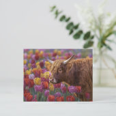 Highland Koe voorjaarstulpen Briefkaart (Staand voorkant)