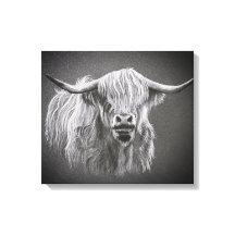 Highland Koe Wrapped Canvas