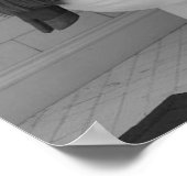 Highland Koe Zittend op Toilet Leesbadkamer Poster (Hoek)