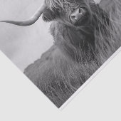 Highland Koe Zwart-wit Decoupage Tissuepapier (Detail)