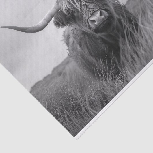 Highland Koe Zwart-wit Decoupage Tissuepapier (Detail)