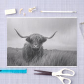 Highland Koe Zwart-wit Decoupage Tissuepapier (Craft)