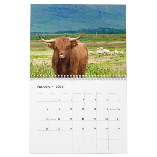 Highland Koeien 2025 Kalender (Feb 2026)