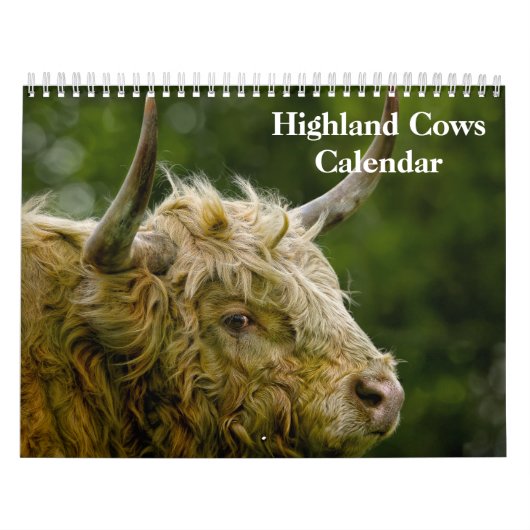 Highland Koeien 2025 Kalender (Hoes)