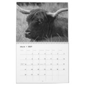 Highland Koeien 2025 Kalender (Mar 2027)
