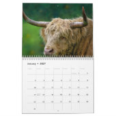 Highland Koeien 2025 Kalender (Jan 2027)