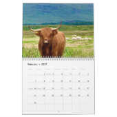 Highland Koeien 2025 Kalender (Feb 2027)