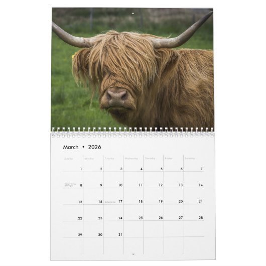 Highland Koeien 2025 Kalender (Mar 2026)
