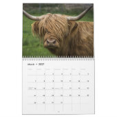 Highland Koeien 2025 Kalender (Mar 2027)