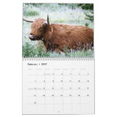 Highland Koeien 2025 Kalender (Feb 2027)