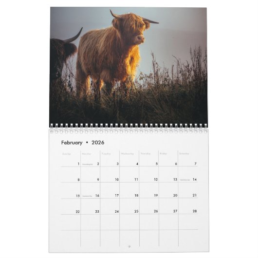 Highland Koeien 2025 Kalender (Feb 2026)