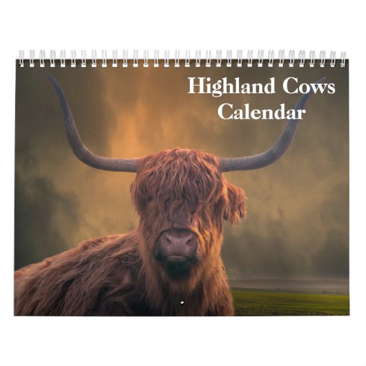 Highland Koeien 2025 Kalender (Hoes)