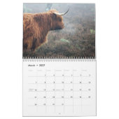 Highland Koeien 2025 Kalender (Mar 2027)