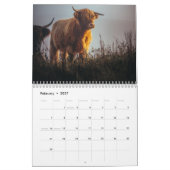 Highland Koeien 2025 Kalender (Feb 2027)