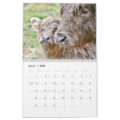 Highland Koeien 2025 Kalender (Mar 2026)
