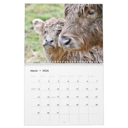 Highland Koeien 2025 Kalender (Mar 2026)