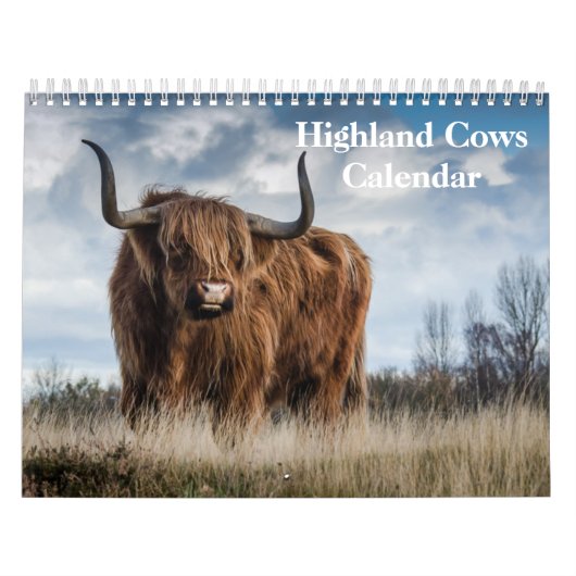 Highland Koeien 2025 Kalender (Hoes)