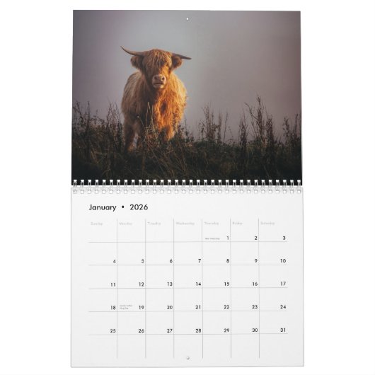 Highland Koeien 2025 Kalender (Jan 2026)