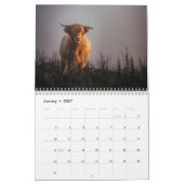 Highland Koeien 2025 Kalender (Jan 2027)