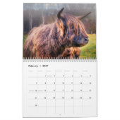Highland Koeien 2025 Kalender (Feb 2027)