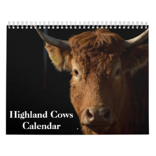Highland Koeien 2026 Kalender