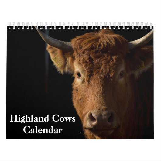 Highland Koeien 2026 Kalender (Hoes)