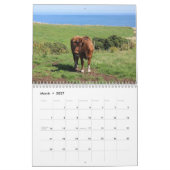 Highland Koeien 2026 Kalender (Mar 2027)