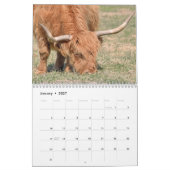 Highland Koeien 2026 Kalender (Jan 2027)