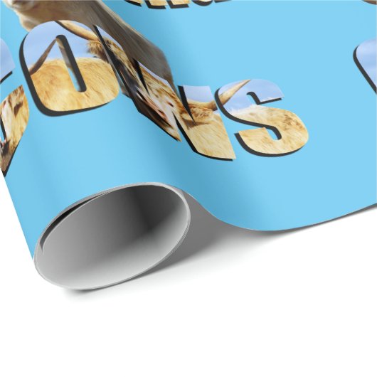 Highland Koeien Afbeelding logo's, Cadeaupapier (Rol Hoek)