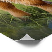 Highland Koeien en Rainbow Nursery Art Poster (Hoek)