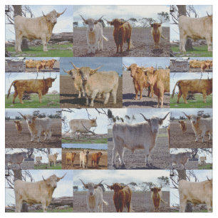 Highland Koeien in een fotocollage, Stof